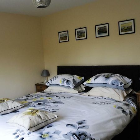 애버리스트위스 Bro Dafydd B&B 외부 사진