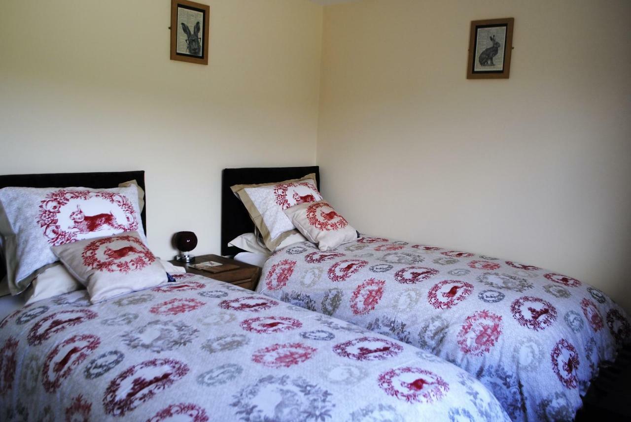 애버리스트위스 Bro Dafydd B&B 외부 사진