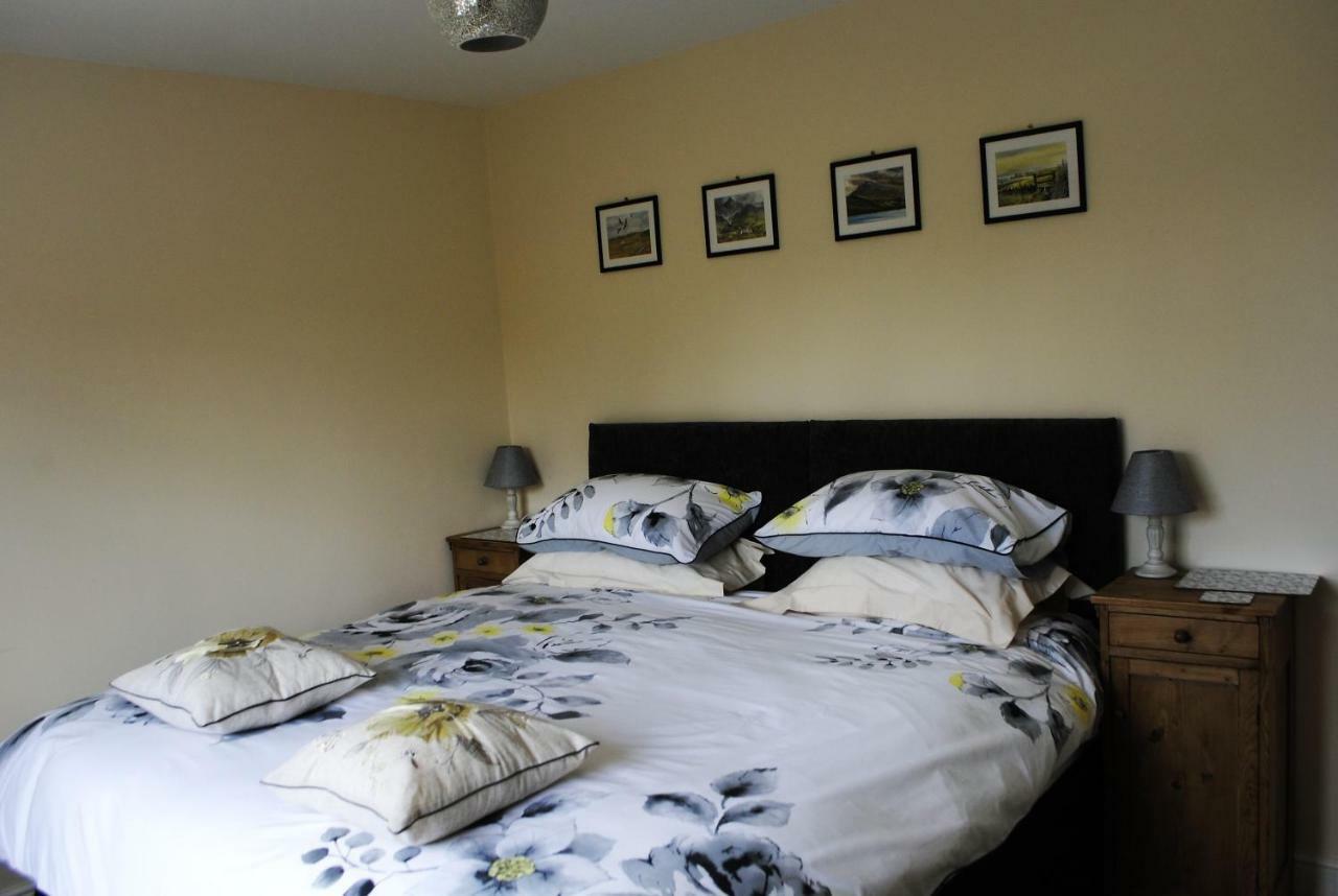 애버리스트위스 Bro Dafydd B&B 외부 사진