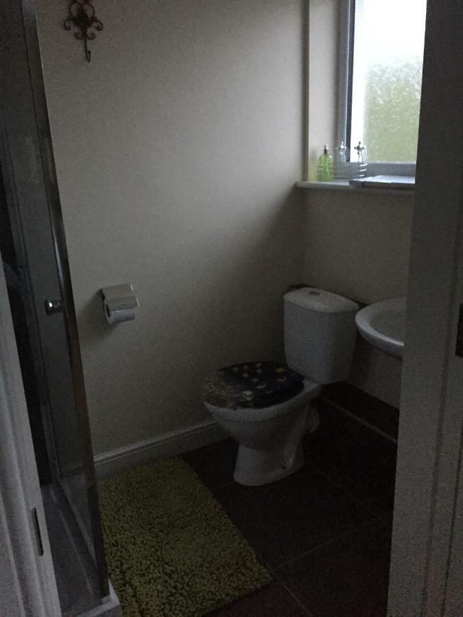 애버리스트위스 Bro Dafydd B&B 외부 사진