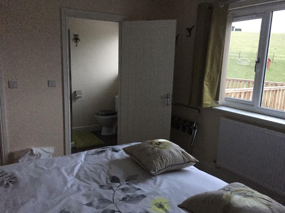 애버리스트위스 Bro Dafydd B&B 외부 사진